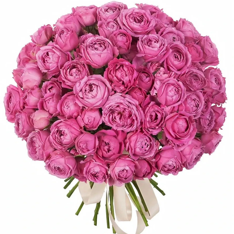 Розы пионовидные розовые